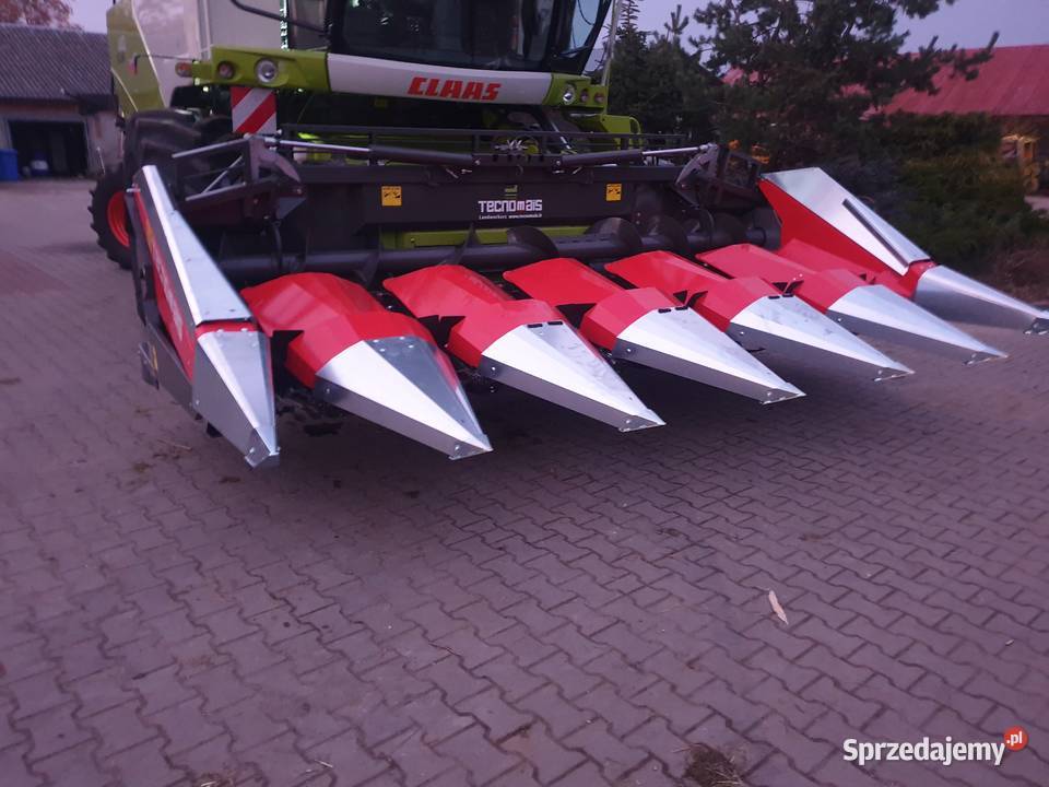 Przystawka do kukurydzy TECNOMAIS 5 rzędowa Gołaczewy