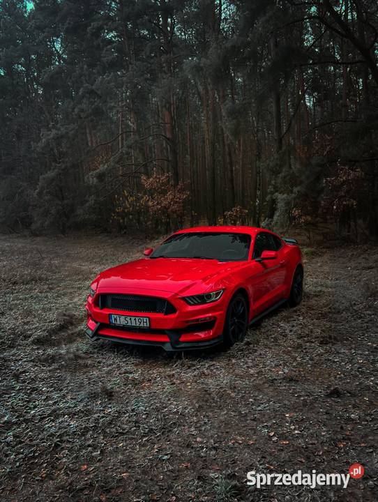 Ford mustang 23 premium ESP Warszawa