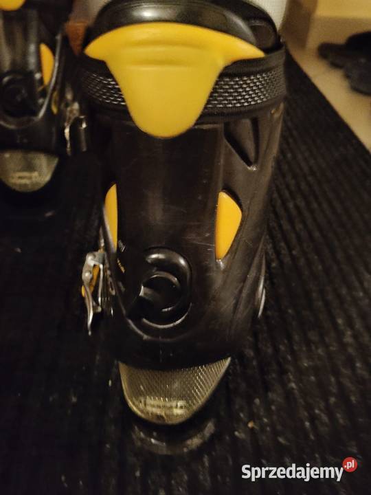 Buty narciarskie Dalbello 43 dolnośląskie Wałbrzych