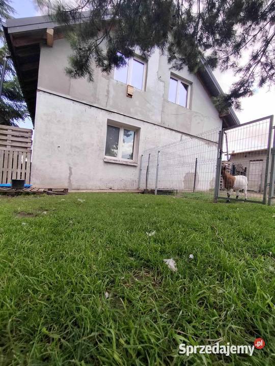 Sprzedam Dom w Dominowie Dominów