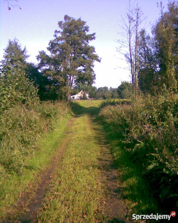 sprzedam gospodarstwo ziemię rolną Gilówka Dolna