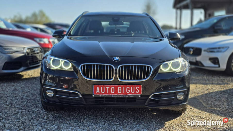BMW 520 duza navi XSENON zarejestrowana nowy 184KM Lębork