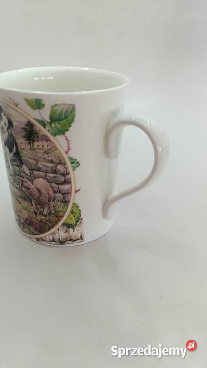 Kubek England pies owczarek collie Zamość sprzedam