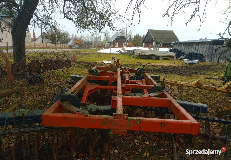 Talerzuwka nieuszkodzony