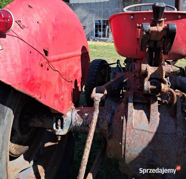 Massey ferguson Gniewkowo