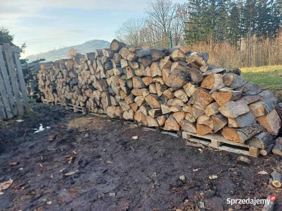 Tanie Suche drewno opałowe dolnośląskie Bystrzyca Kłodzka