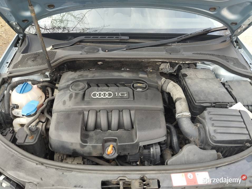Audi a3 8p 16 benzyna 2006 1595cm3 Świnoujście