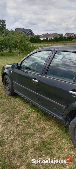Volkswagen Golf IV 16 Uszkodzony na części uszkodzony Siostrzytów
