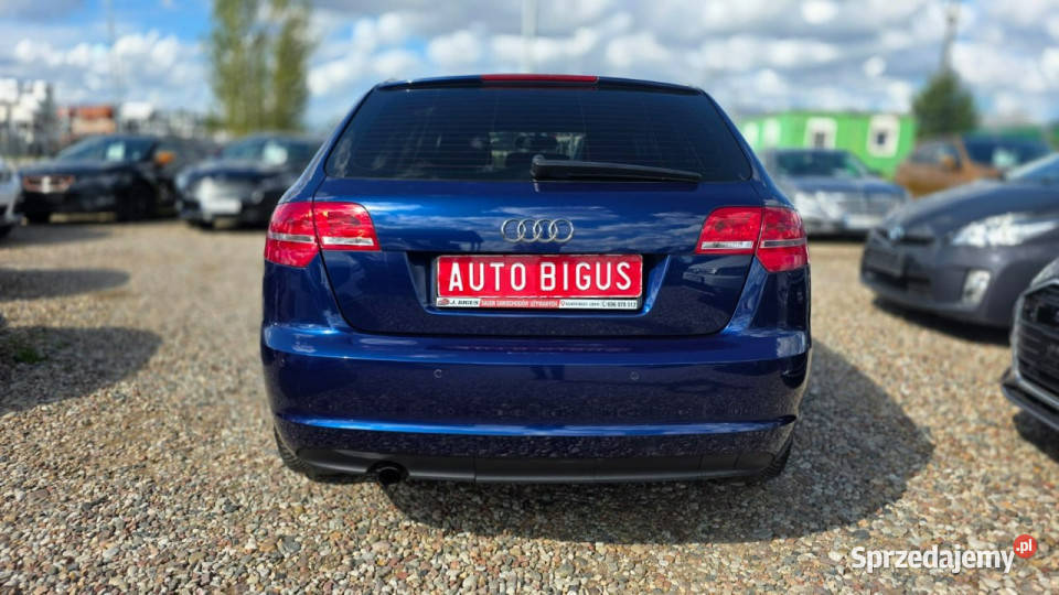 Audi A3 climatronic super stan automat ledy światła do jazdy dziennej Lębork