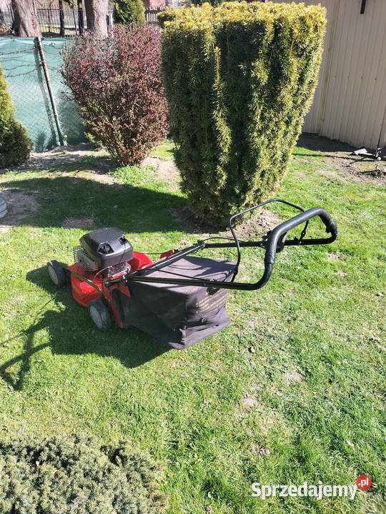 Kosiarka spalinowa Krupe