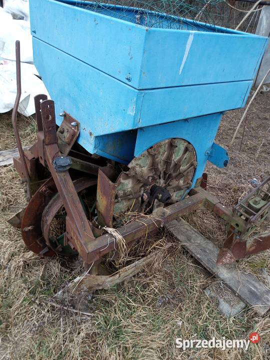 Sadzarka czeska kujawsko-pomorskie Lipno sprzedam