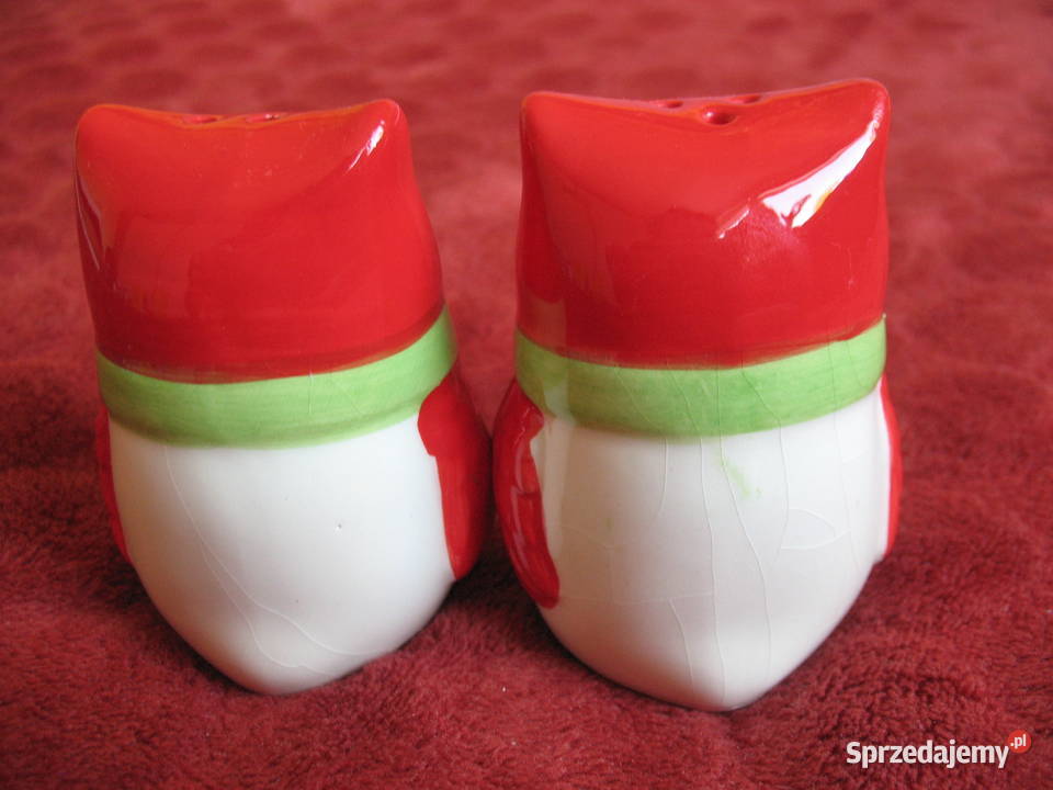 Sowy Sól i pieprz 7 x 5 x 5 solniczka i wielokolorowy Siedlce