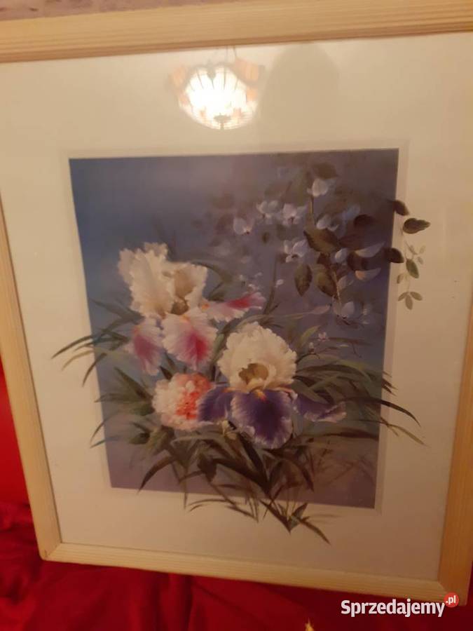 Obraz Antyki, Sztuka, Kolekcje Warszawa