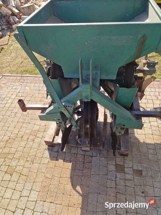 Sadzarka czeska Pszczyna