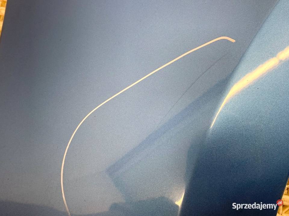 BŁOTNIK LEWY PRZÓD RENAULT SCENIC III Minivan osobowe sprzedam