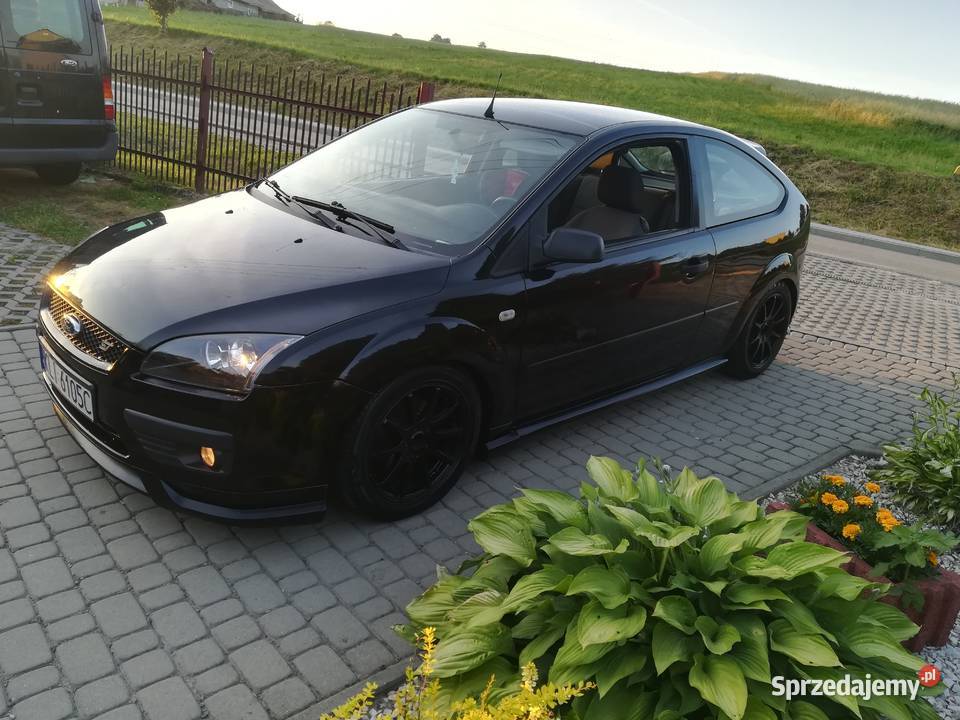 Focus Mk2 Pakiet ST Kamera ALu Klima Czarny Rok produkcji 2004 Korzenna