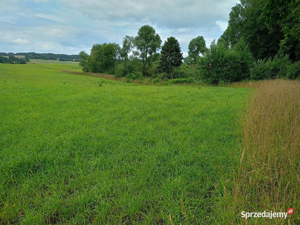 Na sprzedaż 16 działek 1012 arów warmińsko-mazurskie Lidzbark Warmiński