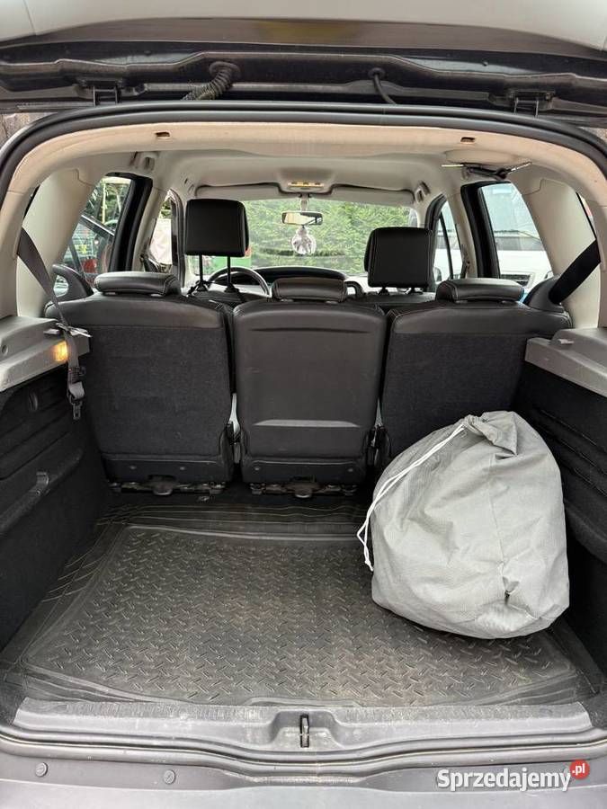 Renault Scenic II Rybnik