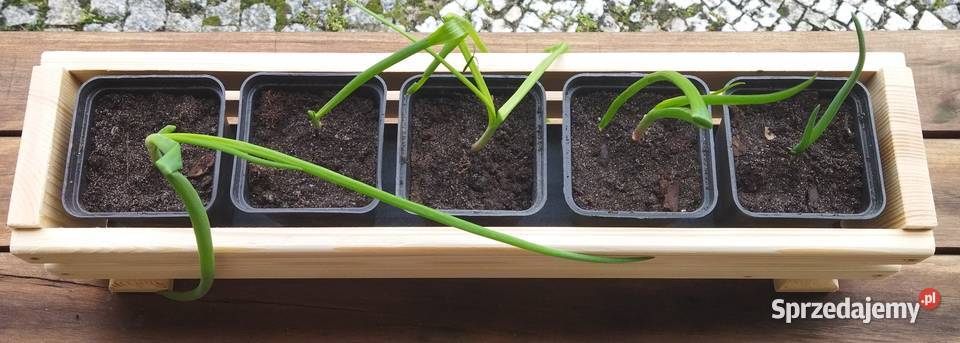 Skrzynka do kwiatów ziół kwietnik Pozostałe Malawa sprzedam