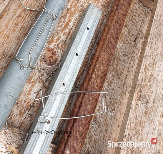 Kotwa ocynk 14x 80 do sadu winnicy Pławna Dolna