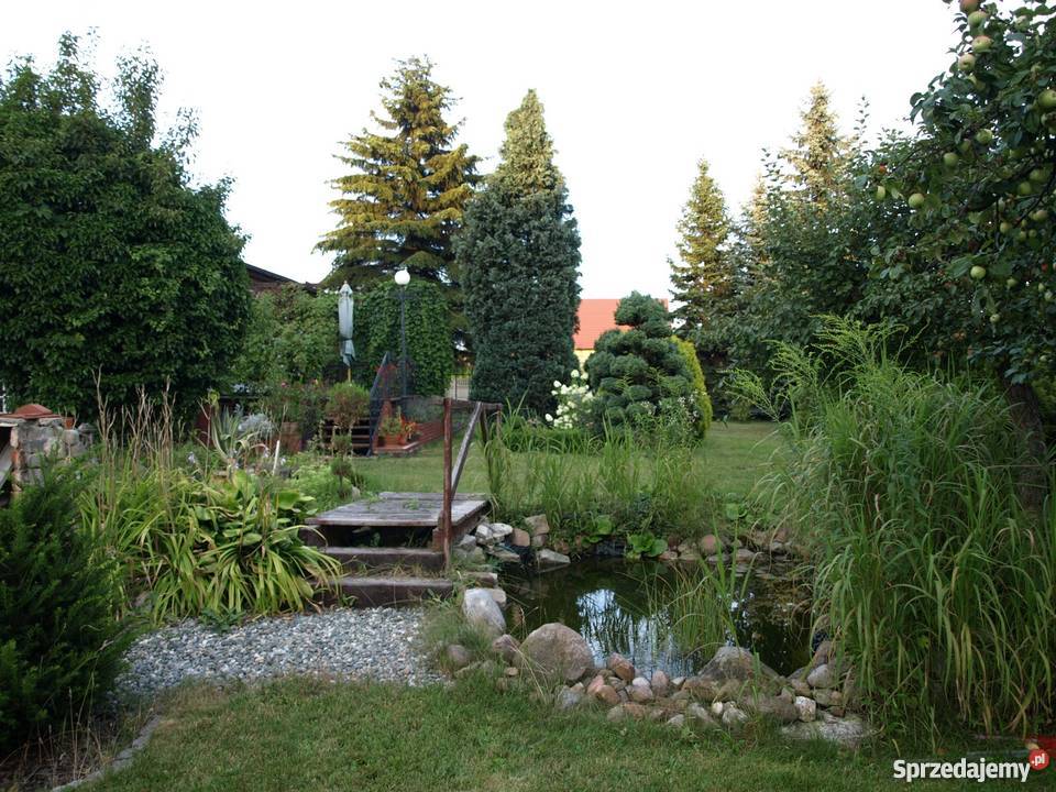 Dom na sprzedaż Piękny ogród Liczba pokoi 2 śląskie Miasteczko Śląskie