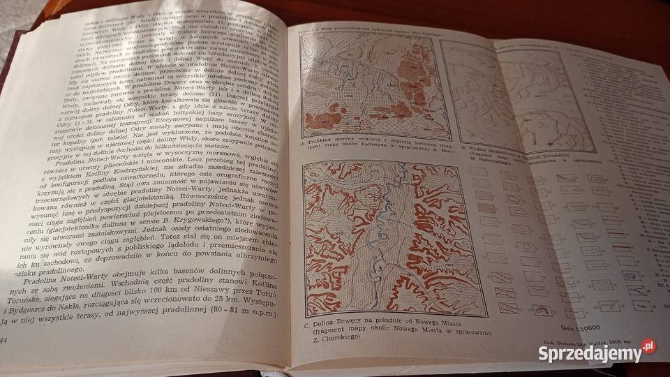 Geomorfologia Polski T 2 Niż Polski Rajmund Gdańsk