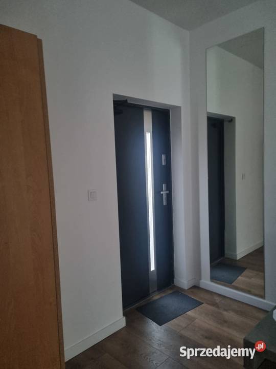 Wynajmę nowe pół bliźniaka ok80m2 okolica IKEI Poznań