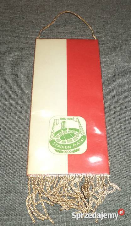 Polska Brazylia Polska Argentyna mecz Piłki