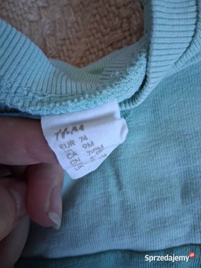 Bluzy chłopięca rozmiar 74 Gdynia sprzedam