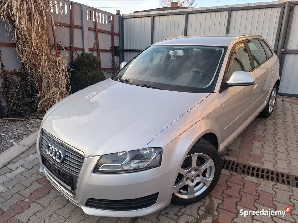 Audi a3 16 MPI 102 SerwisBezwypadekZadbany Pawłów sprzedam