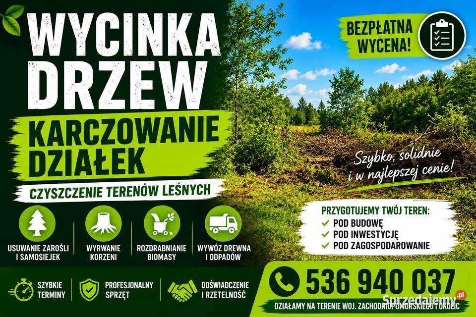 Wycinka Drzew | Karczowanie | Czyszczenie Działek i Terenów Leśnych