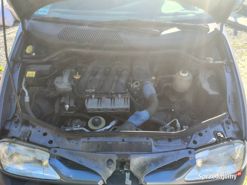 Renault scenic nieuszkodzony Nałęczów