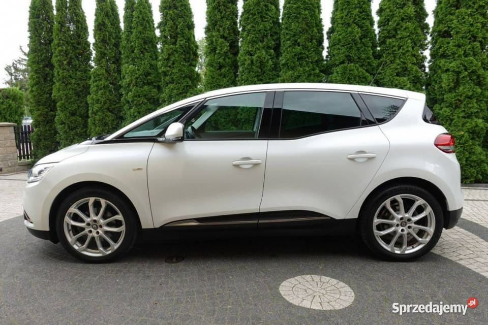 Renault Scenic Full Led Automat BOSE Serwis diesel Płońsk sprzedam