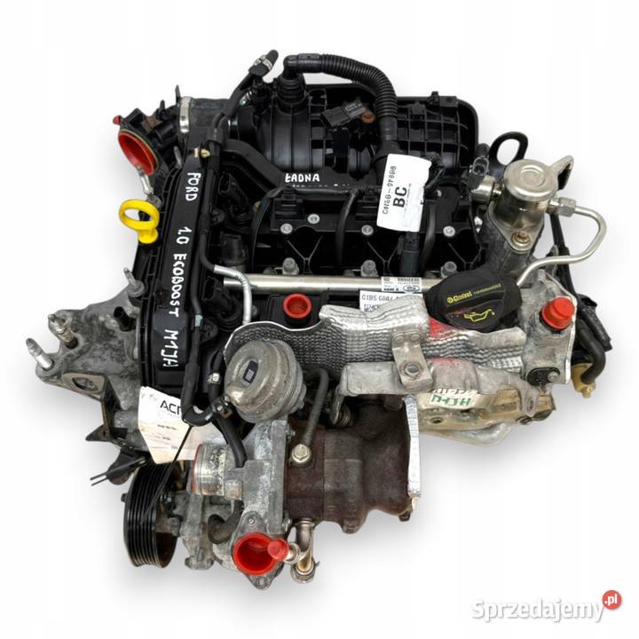 SILNIK M1JH Ford B Fiesta VII MK7 10 ECOBOOST osobowe Części samochodowe Chełm