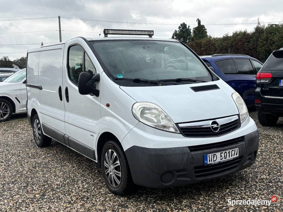 Opel Vivaro Paniówki