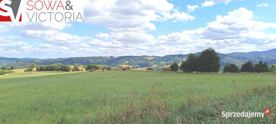 Widokowe słoneczne działki w Niedźwiedzicy Niedźwiedzica