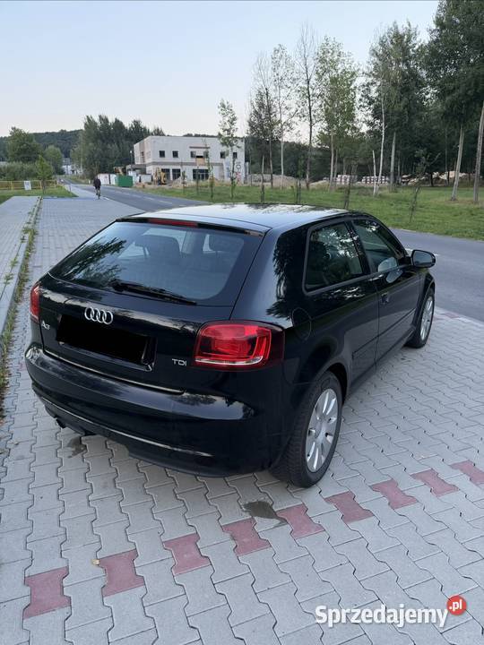 Audi a3 8p 16 TDI COMMON RAIL LIFT 1598cm3 Orzesze