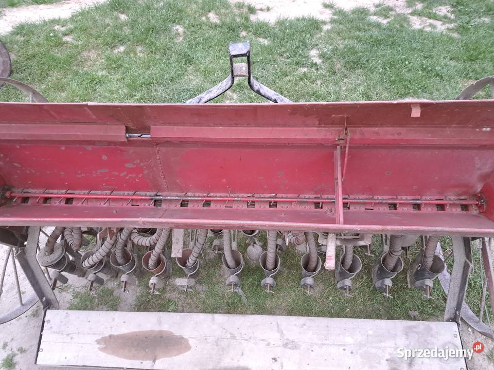 Siewnik Belno