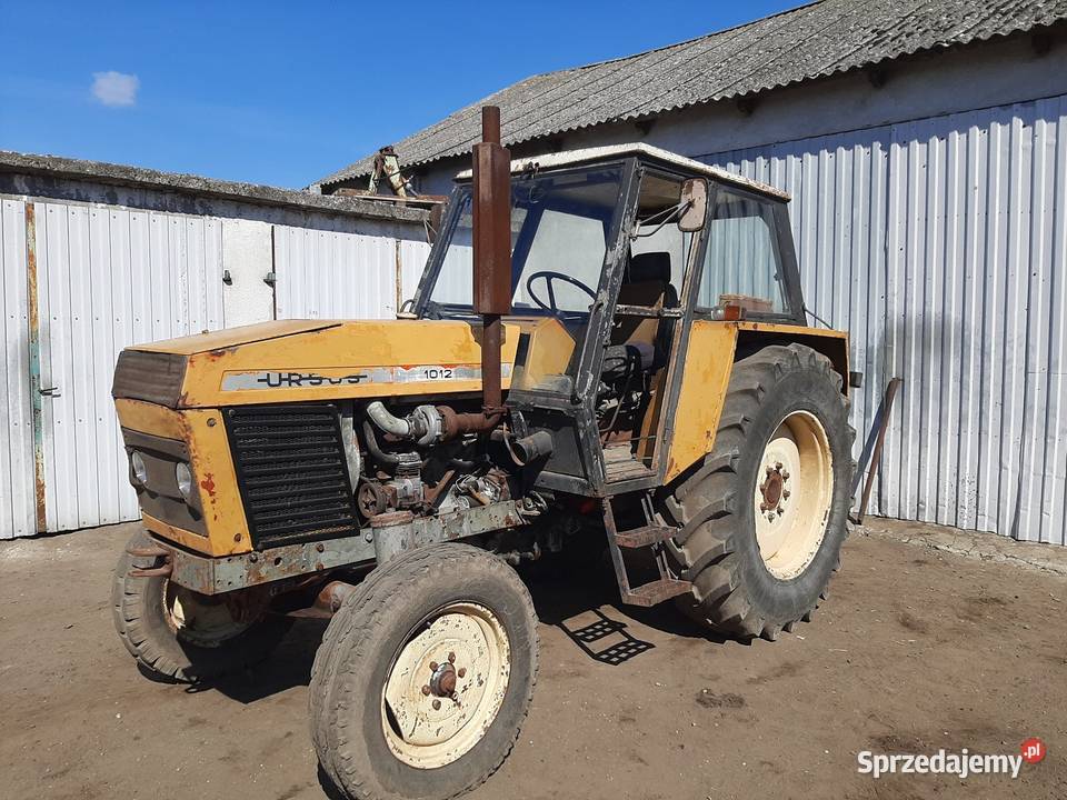 URSUS 1012 1984 kujawsko-pomorskie Żnin
