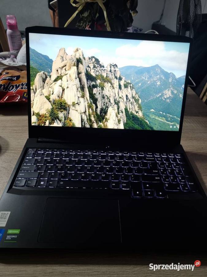 Lenovo IdeaPad Gaming 3 pomorskie Potęgowo