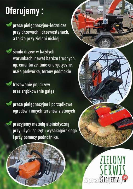 Wycinka pielęgnacja drzew i terenów zielonych Tomaszów Mazowiecki
