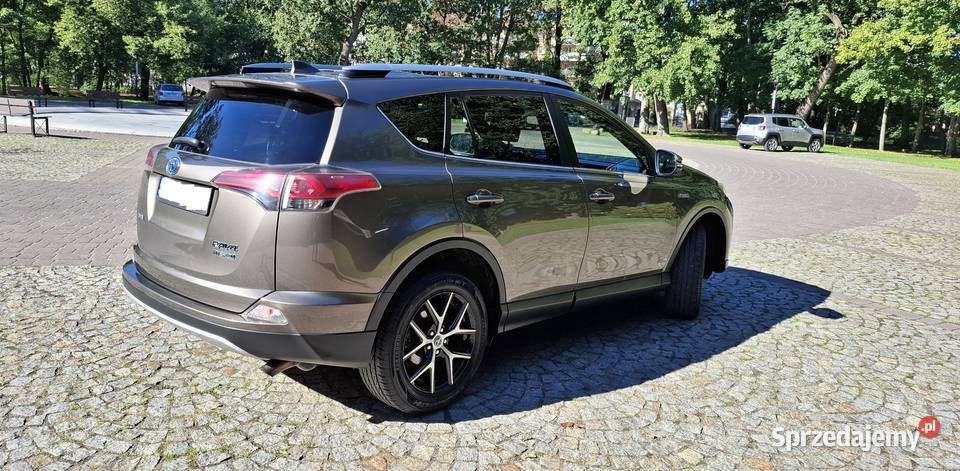 Toyota RAV4 25 4x4 Hybrid Chrośla