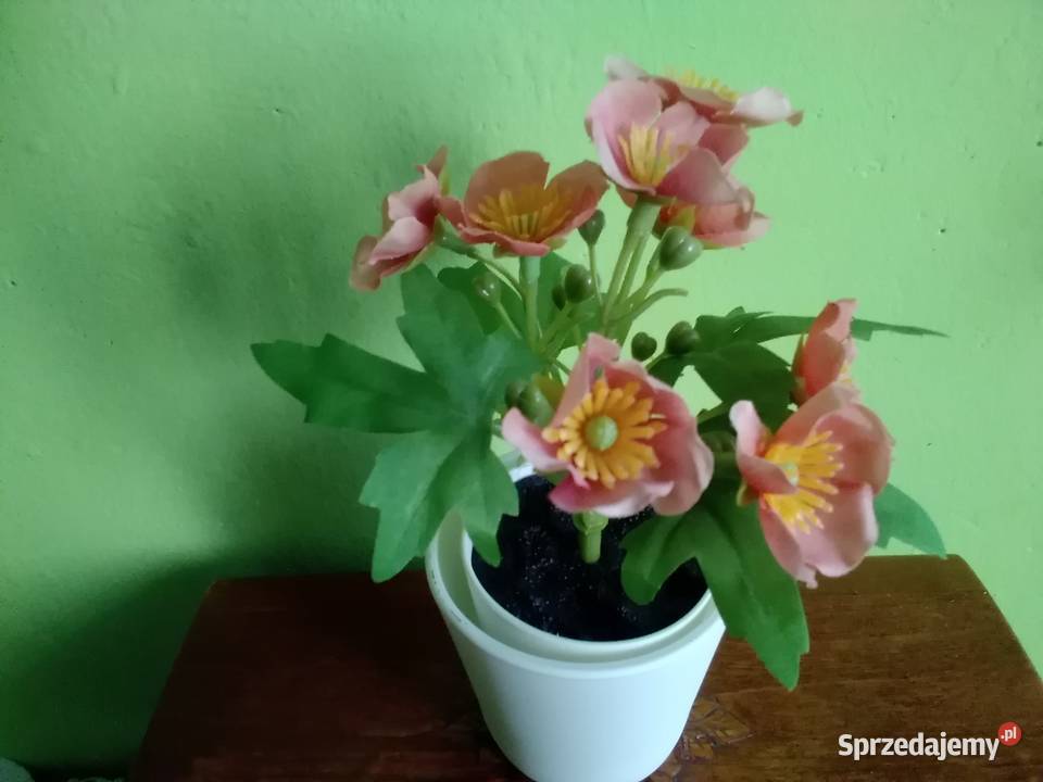 Fejka sztuczna roślina doniczkowa Łódź