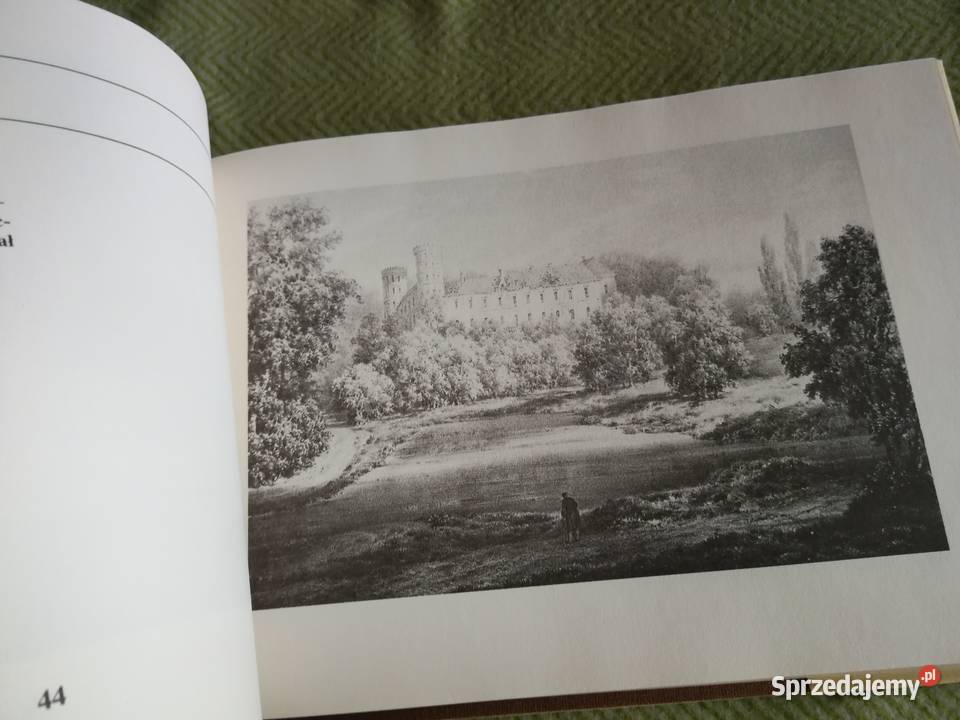 Album widoków historycznych Polski Napoleon Orda zachodniopomorskie Szczecin sprzedam
