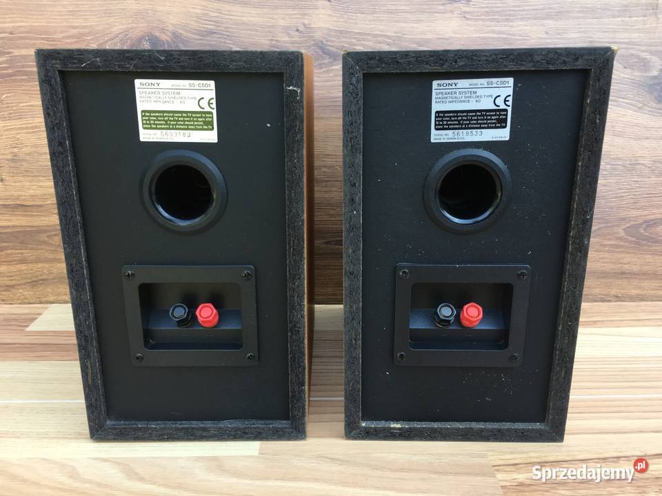Kolumny SONY SSCSD1 6 Ohm audiofilskie opolskie Opole