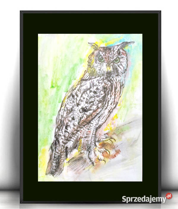 sowa obraz A4 plakat z sowaą vintage obrazek z wielokolorowy Opole