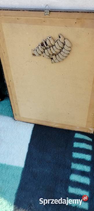 Monidła Portrety starych zdjęć ślubnych łódzkie Łódź