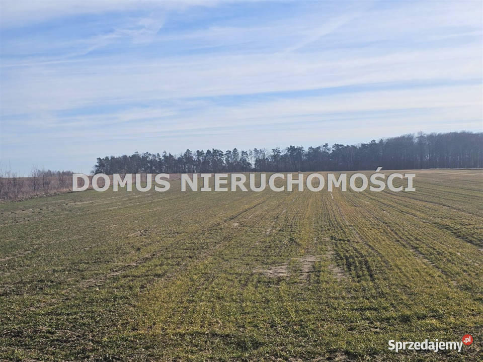 Działka 4500m2 Polik