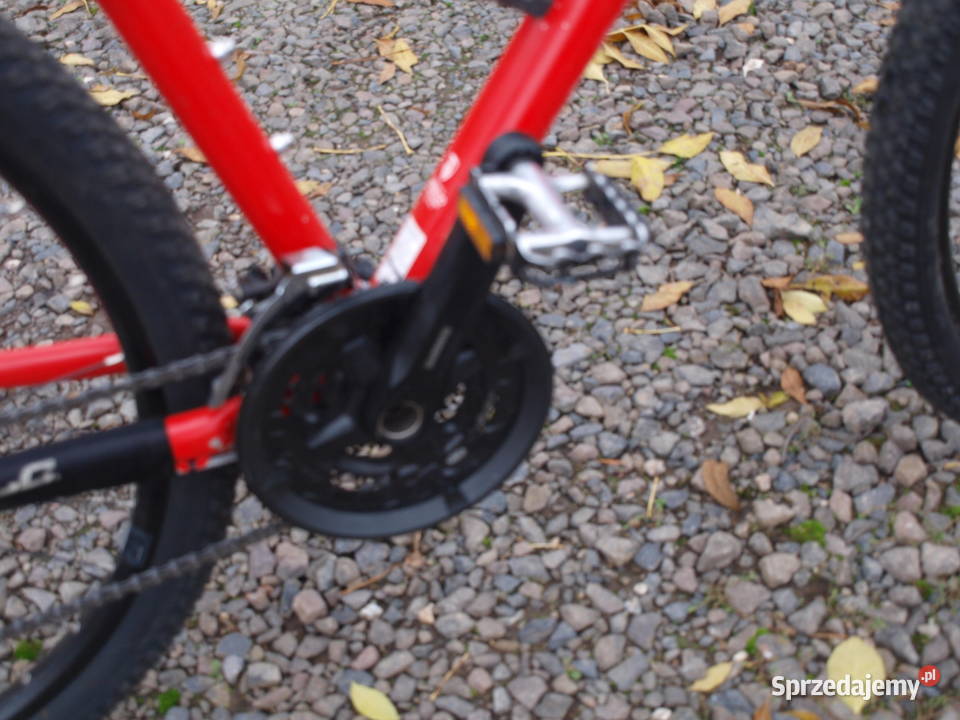 Rower Trek XCaliber 29er dolnośląskie Chojnów