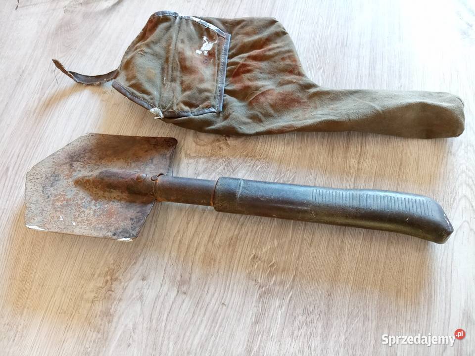 Saperka podkarpackie